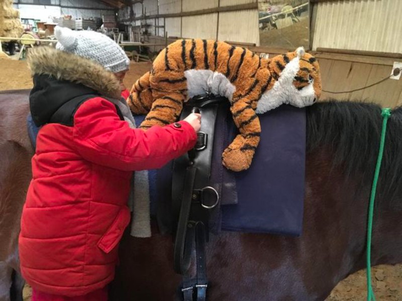 Die Reitstunden sind total wichtig für Francesca