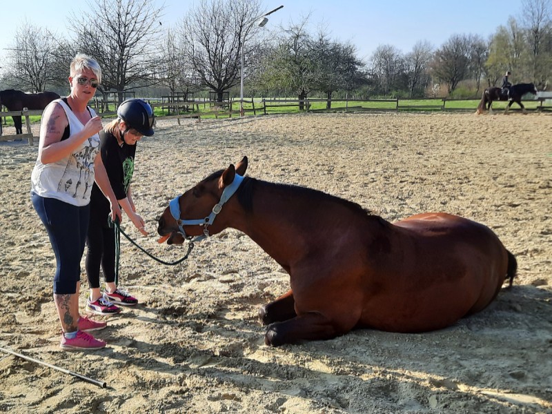 Was ist therapeutisches Reiten?