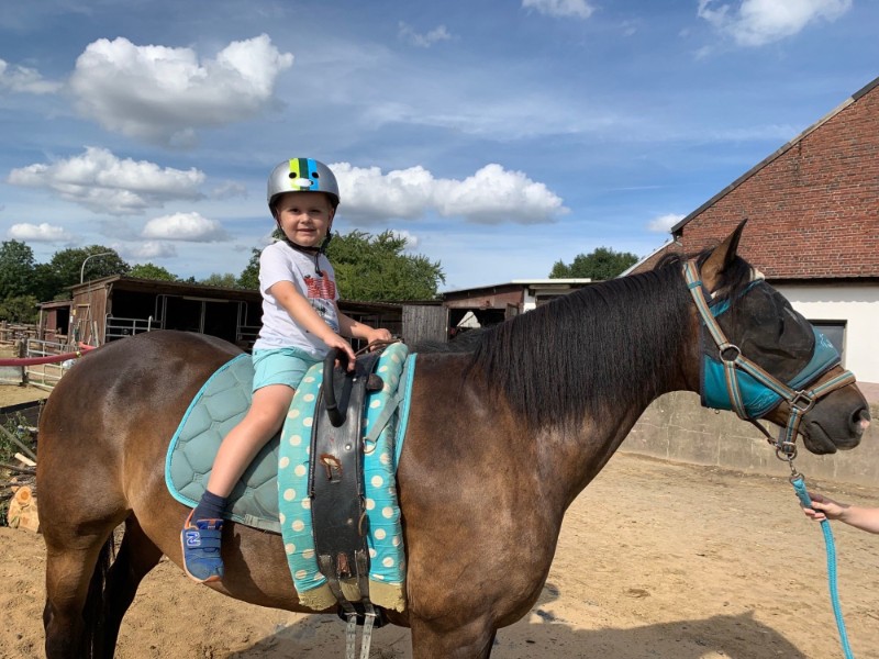 Reiten auf dem Mongshof