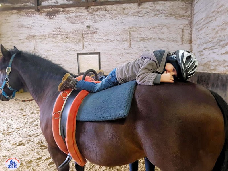 Therapeutisches Reiten auf dem Mongshof